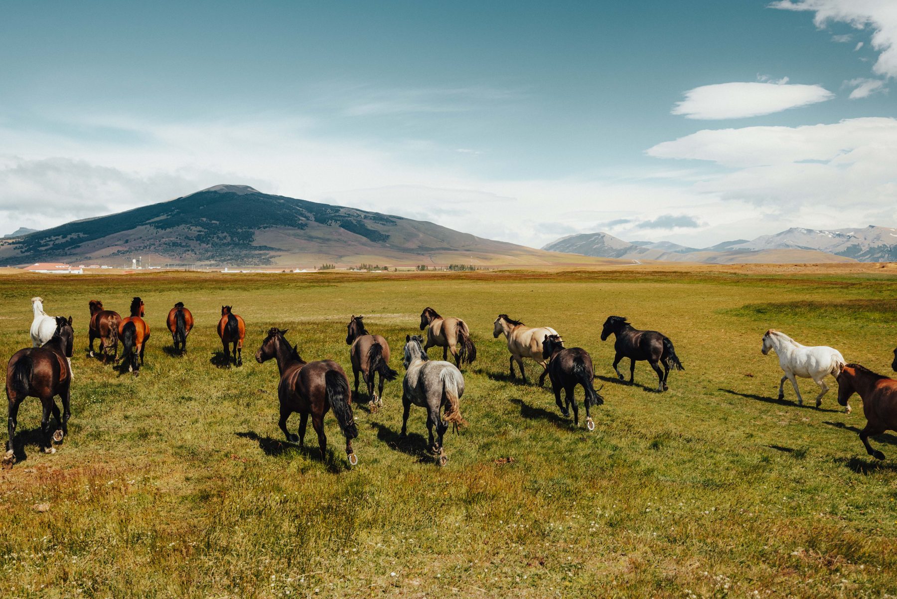 Caballos galopando al atardecer en la estancia