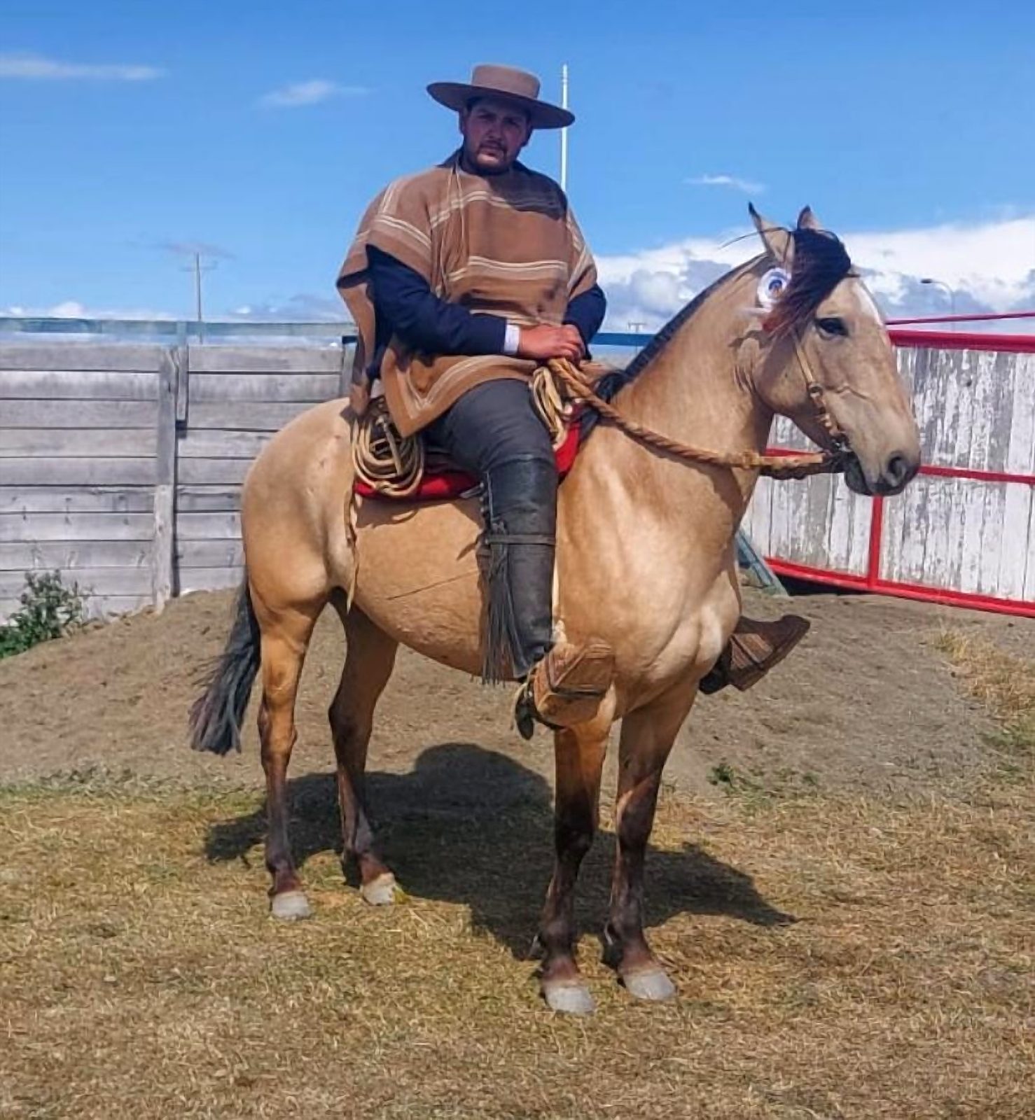 Huaso chileno montado en su caballo